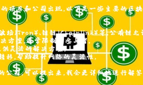 区块链平台公司数量众多，随着区块链技术的迅速发展，不断有新的项目和公司出现。以下是一些主要的区块链平台公司类别及其代表性公司，以帮助了解这个行业的广泛性。

主要区块链平台公司类别：
1. **公有链企业**：例如以太坊（Ethereum）、比特币（Bitcoin）、波场（Tron）、链链（Chainlink）等。公有链允许任何人参与网络，并有自己的代币。
2. **私有链企业**：如Hyperledger、R3 Corda等，专注于企业解决方案，通常限制了参与者。
3. **混合链企业**：例如Factom，结合公有链和私有链的特性，提供灵活的解决方案。
4. **侧链项目**：如Liquid Network，侧链允许资产在主链之间转移，帮助提升网络的灵活性。

如果你需要关于这个主题的更具体的信息，或者想了解某一类别的公司，可以提出来，我会更详细地进行解答。
