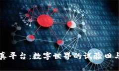 区块链仿真平台：数字世界的试验田与创新工具