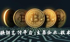 深入探讨当前区块链支付平台：主要企