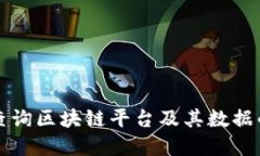 怎样高效查询区块链平台及其数据的实
