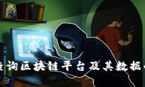 怎样高效查询区块链平台及其数据的实用指南