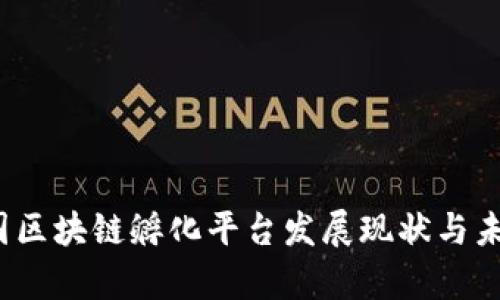 2023年中国区块链孵化平台发展现状与未来趋势分析