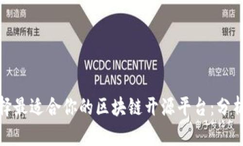如何选择最适合你的区块链开源平台：分析与建议