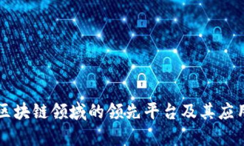 大通区块链领域的领先平台及其应用解析