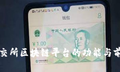 武汉股交所区块链平台的功能与前景解析