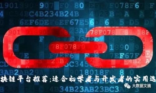 区块链平台推荐:适合初学者与开发者的实用选择
