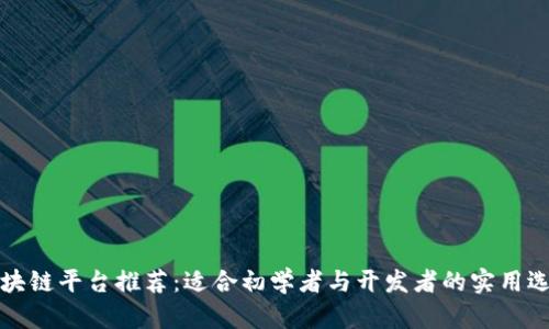区块链平台推荐:适合初学者与开发者的实用选择