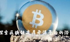 金链盟：探索区块链底层开源平台的潜