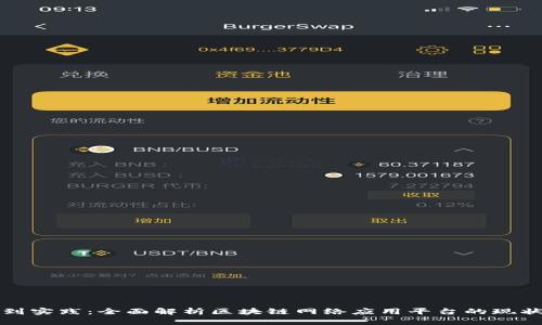 从概念到实践：全面解析区块链网络应用平台的现状与未来