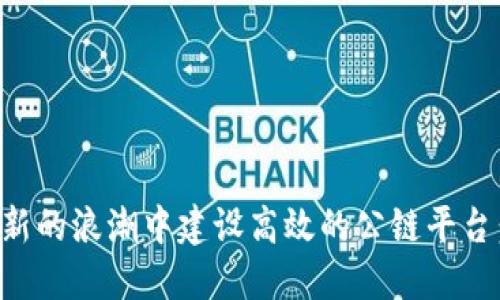 如何在区块链创新的浪潮中建设高效的公链平台：一个全面的指南