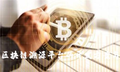 全面剖析区块链溯源平台的开发方案与实现路径