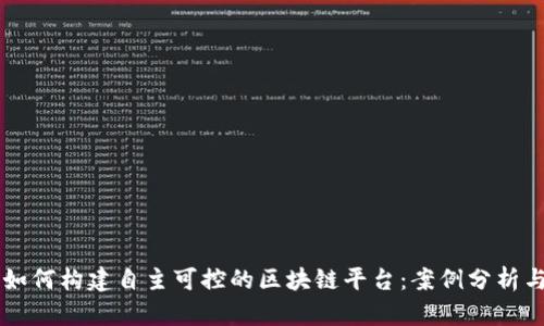 中国企业如何构建自主可控的区块链平台：案例分析与技术展望