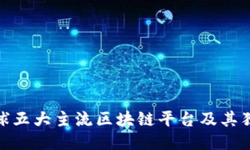 探索全球五大主流区块链平台及其独特优势