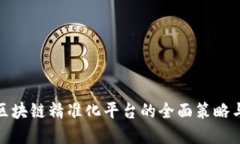 构建高效区块链精准化平台的全面策略与实施步