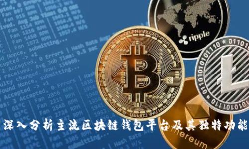 深入分析主流区块链钱包平台及其独特功能
