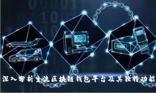 深入分析主流区块链钱包平台及其独特功能
