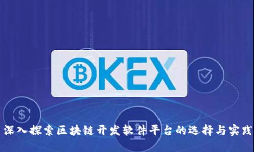 深入探索区块链开发软件平台的选择与实践