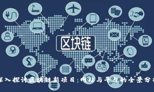 深入探讨区块链新项目：网站与平台的全景分析