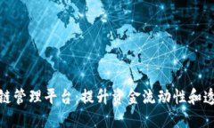 探索区块链资金链管理平台：提升资金流动性和