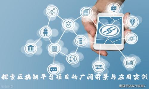 探索区块链平台项目的广阔前景与应用实例