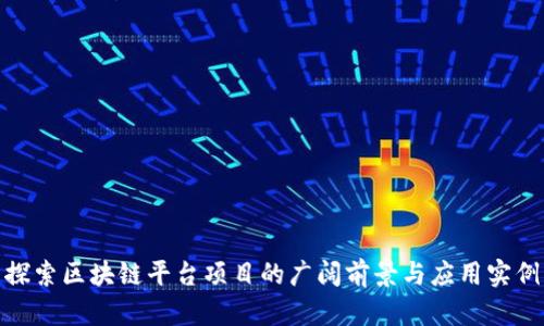 探索区块链平台项目的广阔前景与应用实例