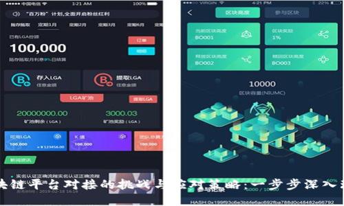 区块链平台对接的挑战与应对策略：一步步深入理解