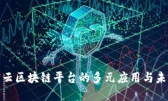 探索密云区块链平台的多元应用与未来发展