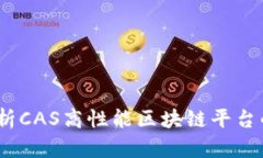构建未来：深入解析CAS高性能区块链平