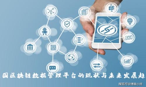 美国区块链数据管理平台的现状与未来发展趋势