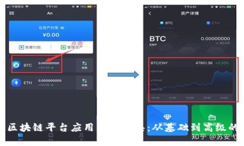 全面解析区块链平台应用开发工具：从基础到高级的实用指南