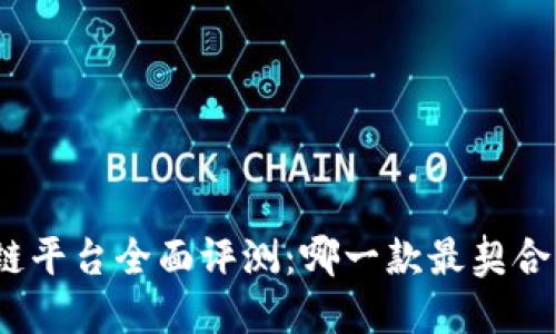 迪拜区块链平台全面评测：哪一款最契合你的需求？