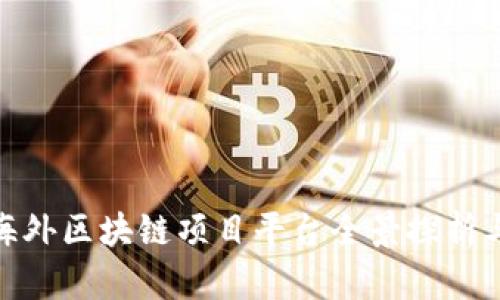 全球最新海外区块链项目平台全景探析与投资机会