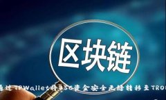 如何通过TPWallet将BSC资金安全无缝转移