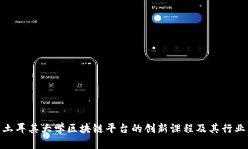 探索土耳其大学区块链平台的创新课程及其行业影响