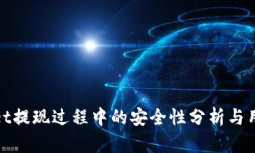 tpwallet提现过程中的安全性分析与用户指南