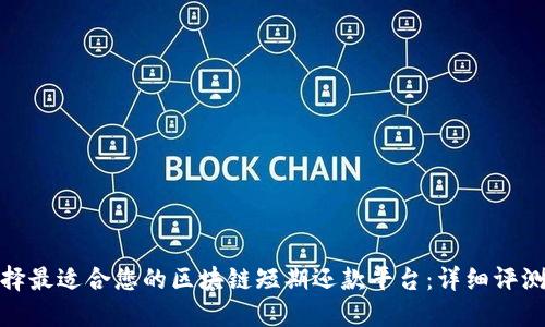 如何选择最适合您的区块链短期还款平台：详细评测与比较