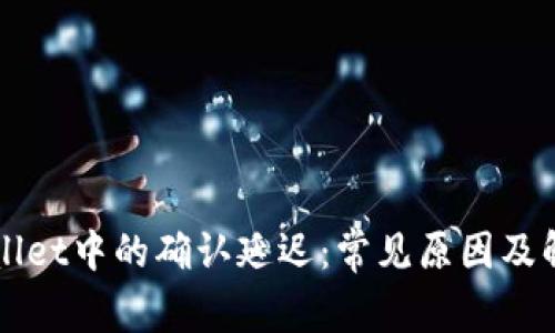  TP Wallet中的确认延迟：常见原因及解决方案