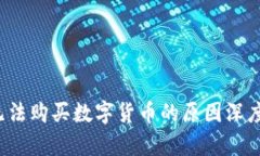 TPWallet：当前无法购买数字货币的原因深度解析与