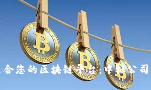 如何选择适合您的区块链平台：中标公司的深度剖析