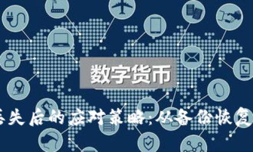 关于TPWallet丢失后的应对策略：从备份恢复到安全措施详解