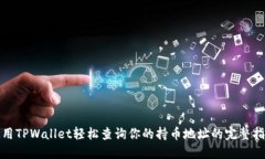 使用TPWallet轻松查询你的持币地址的完整指南