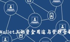 TPWallet上的资金用途与管理全解析