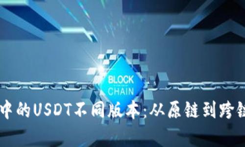 探索TPWallet中的USDT不同版本：从原链到跨链应用全面解析