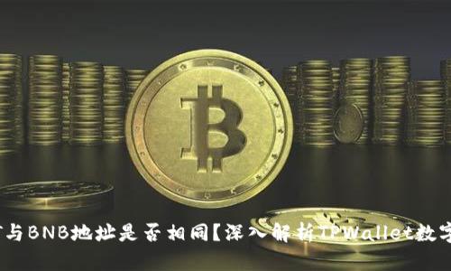 TPWallet的USDT与BNB地址是否相同？深入解析TPWallet数字钱包的正确用法