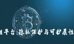 Oasis区块链平台：隐私保护与可扩展性