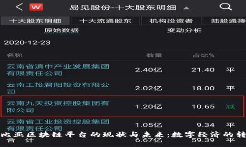 探索赞比亚区块链平台的现状与未来：数字经济的转型之路