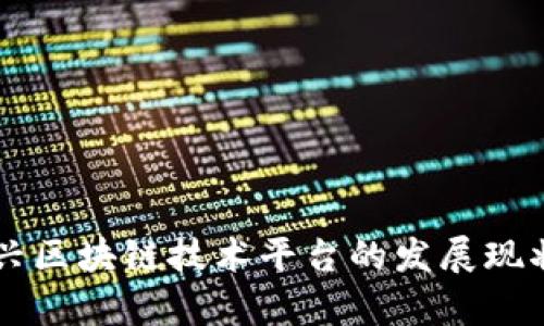 解析中国新兴区块链技术平台的发展现状与未来潜力