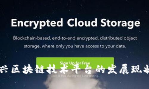 解析中国新兴区块链技术平台的发展现状与未来潜力