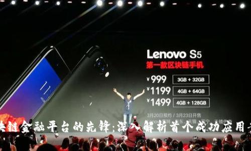 区块链金融平台的先锋：深入解析首个成功应用案例