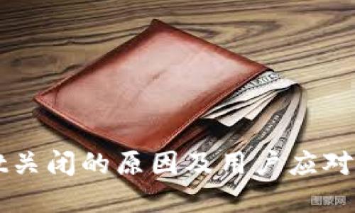 TPWallet关闭的原因及用户应对策略详解